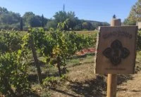 Domaine de la Dourbie