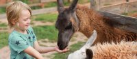 Parcs et fermes © Irena Begusic Parcs et fermes