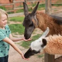 Parcs et fermes
