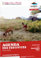 Agenda mai
