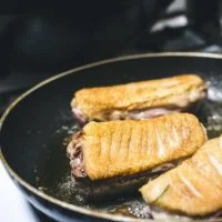 Magret Canard