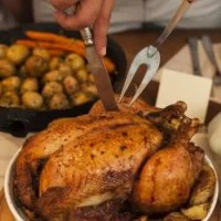 Pintade