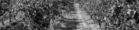 Portrait de cave #P&eacute;ret