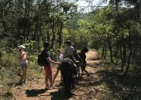 Balade &agrave; dos d'&acirc;ne