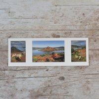 Carte postale Souche