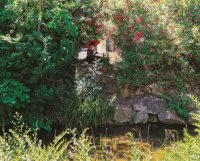 Vos sorties "nature" et culture
