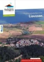 Liausson