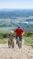 VTT