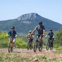 VTT