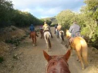 VIGGOS_FARM&copy;2022_jean_luc_hermann_OTC (3) &copy;hermann