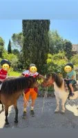 Balade &agrave; poney en main &copy;Joy_Onorato