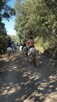Balade &agrave; cheval - A l'ombre sous les arbres &copy;Joy_Onorato