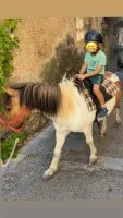 Balade &agrave; poney en main &copy;Joy_Onorato