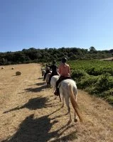 Balade &agrave; cheval - Au milieu des champs de Mour&egrave;ze &copy;Joy_Onorato