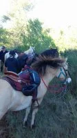 Association_le_cheval_des_Terres_Rouges_2 &copy;Garcia_OT
