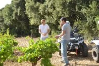 Clos_des_coustoulins_6 &copy; @ Armelle Molinier