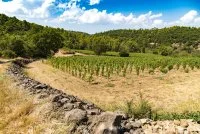Domaine_de_Bellefontaine_2 &copy;Tabar