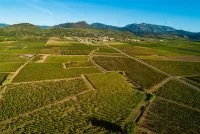 Domaine de l'Argenteille - SAINT FELIX DE LODEZ (H&eacute;rault) &copy;herve_leclair_aspheries.com