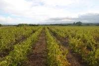 bastide des songes &copy;bastidesdessonges