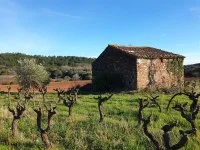 bandeau le terroir &copy;mas_de_clanny1