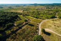 Domaine de l'Aster - PERET (H&eacute;rault) &copy;herve leclair / aspheries.com