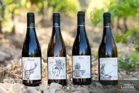 MoulindeGassac_GrandsTerroirs_c_VincentBartoli (1) &copy; 2022- - Vincent Bartoli