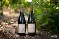 MoulindeGassac_CombeCalcaire_c_VincentBartoli &copy; 2022 - Vincent Bartoli