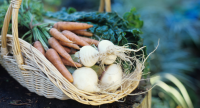 marché produits locaux légumes ©Lou Mazet