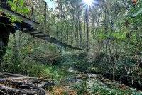 Gite des libellules Le pont de singe &copy; Deux