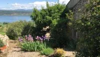 Mas du LAC  jardin &copy;Martine_Servat