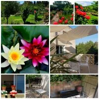 multi photos &copy;Yanes