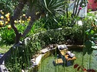 Bassin aux tortues et source &copy;Fontaine_de_Sarac