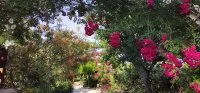 G&icirc;te Coeur d'h&eacute;rault &copy;Khenfouf