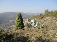Rando du sentier des Garrigues0023 &copy;CDRP34 &copy;CDRP34