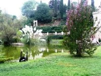 jardindebezombes (3) &copy; jardin de bezombes